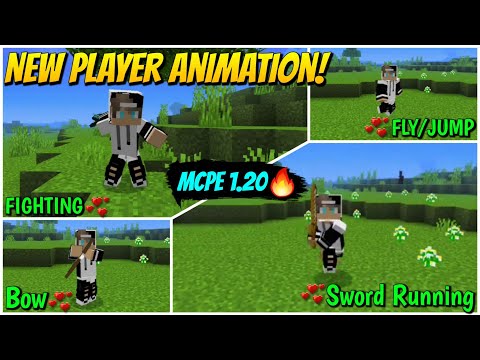 Insane New Player Mod! All Animations Changed!