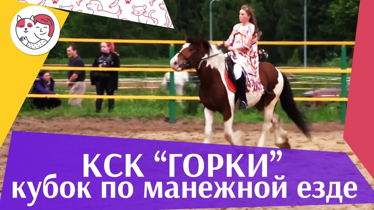 Летний кубок КСК Горки по манежной езде КЮР часть 27 на ilikepet