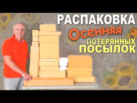 Сплошная красота, находки ВАУ! Осенняя распаковка потерянных посылок, купили прошлой осенью Влог
