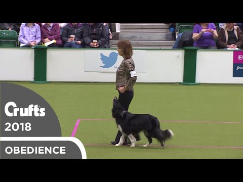 Obedience - Bitch Championship - Part 12 | Crufts 2018