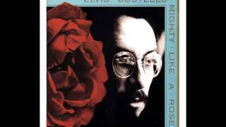 Harpies Bizarre - Elvis Costello