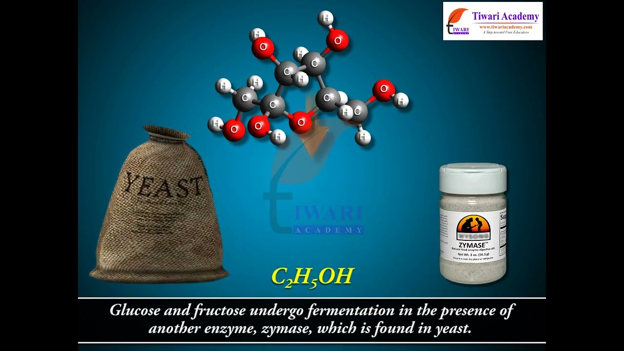 Class 12 Chemistry Some Commercially Important Alcohols in Chapter 11 Alcohols, Phenols and Ethers