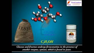 Class 12 Chemistry Some Commercially Important Alcohols in Chapter 11 Alcohols, Phenols and Ethers