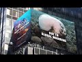 Coral Restoration Foundation(TM) and Tinsley Take Times Square