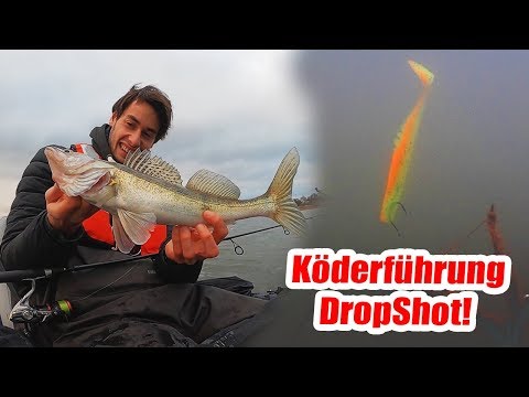 Du fängst KEINE Zander? Einfacher Trick - Dropshot Köderführung SOFORT verbessern im Winter!