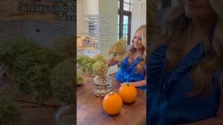 And should I add… Fall!!! 🎃🍂