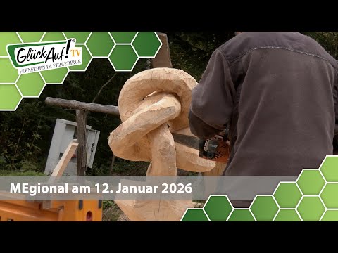 MEgional am 12. Januar 2026