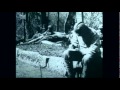 The Zombies - The Butcher's Tale