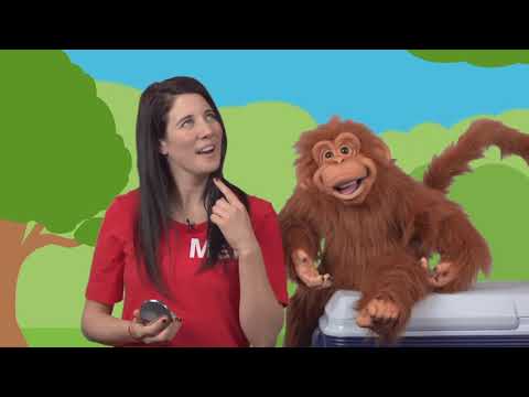 Sam and Mel Lesson 7