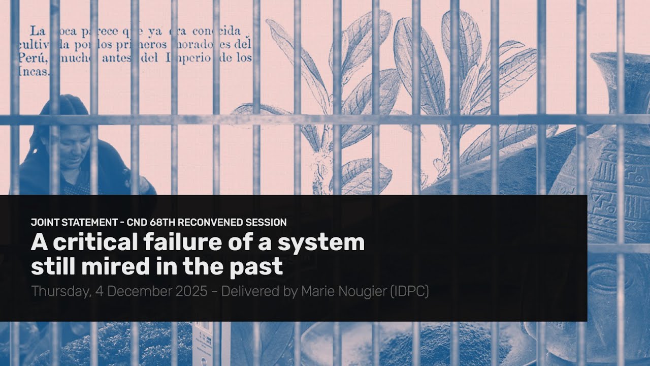 A critical failure of a system mired in the past - IDPC statement at the CND 68th Session Reconv.