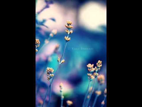 Quarrel feat. Nick Sinckler - Tonight (Acoustic Version)