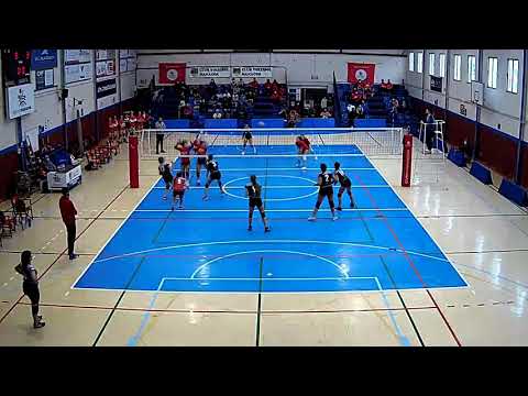 CAFES SAMBA CV MANACOR CF Verd - CV PORTOL