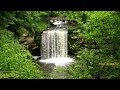 Relaxing Piano Music with Nature Sounds, Waterfall Sounds, Birds Sounds