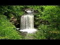 Relaxing Piano Music Sleep Music Calming Waterfall Sounds Relaxing Music Meditation Music Bird Song