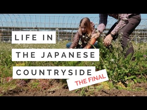 有機農業與告別 | 宮崎県綾町での田舎暮らし體験 (ORGANIC FARMING & SAYING GOODBYE | 宮崎県綾町での田舎暮らし体験)