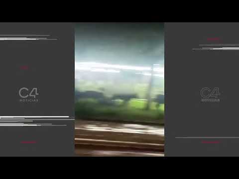 Aparecieron vacas sueltas en una plaza de Aguas Calientes
