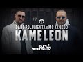 DADO POLUMENTA X MC YANKOO KAMELEON OFFICIAL VIDEO