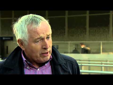 Jonathan Dimbleby hints he could have ‘up to six tattoos’