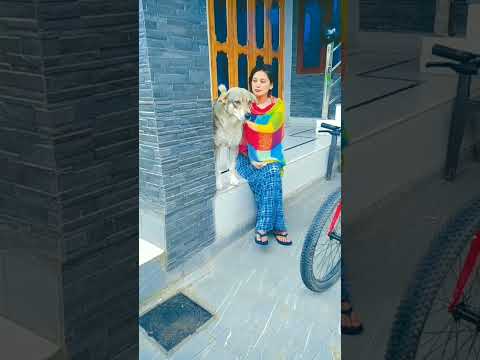 lovely dog🐕🐕🐕🐕 #bindu #bindu