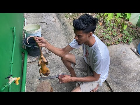 Catch,Clean and Cook(curry stew manicou)and Update about the curry duck competition &family fun day