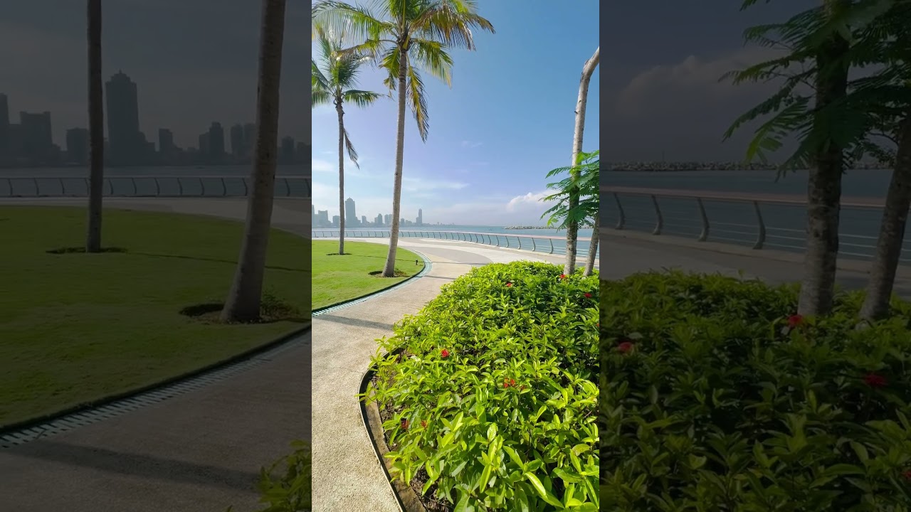 YouTube Short thumbnail