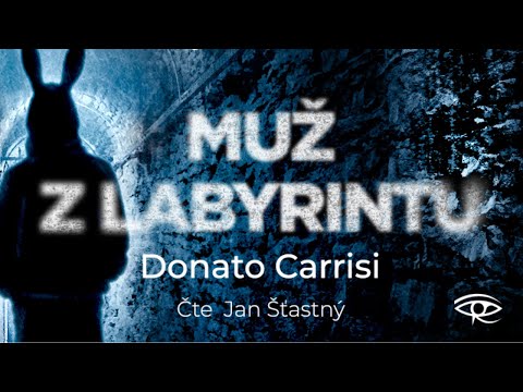 Audiokniha Muž z labyrintu - Čte Jan Šťastný