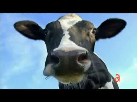 EL Happy Hour news - América TeVé