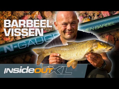 Barbefiskeri