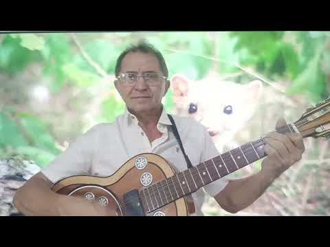 Volta Papai de Cícero Vieira com Paulo de Iguatu ao vivo