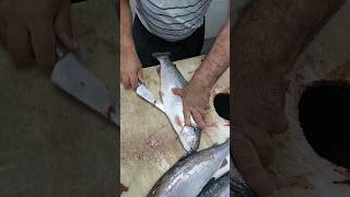Download lagu How to Clean Trout - Quick & Professional mp3 Download lagu How to Clean Trout - Quick & Professional mp3