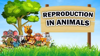 Reproduction in Animals | Class 8 | Science | NCERT | CBSE Board | Home Revise