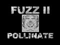 FUZZ - POLLINATE 