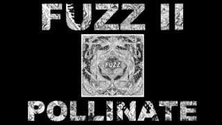 FUZZ - POLLINATE