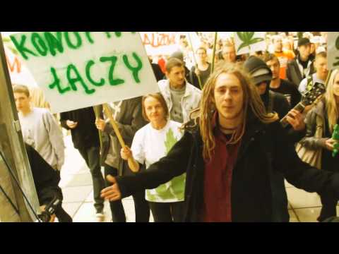 Łysol&Drzewo - Legalize (prod.DonDe, gitara Sosna Sosnowy)