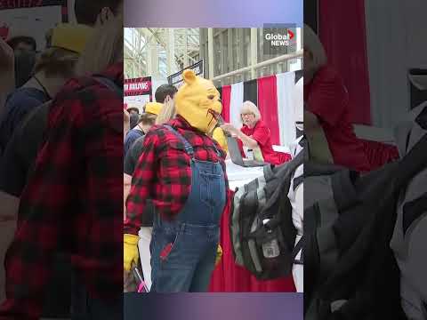 Fan Expo Canada is back in Toronto! #fanexpo #fanexpocanada