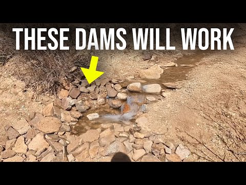 He Built 36 Rock Dams to Grow This Mini Desert Forest...