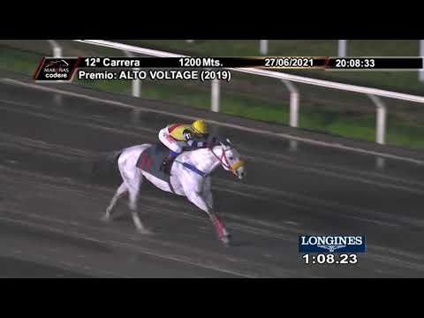 210627 c12 LO FELIPE (BRZ)