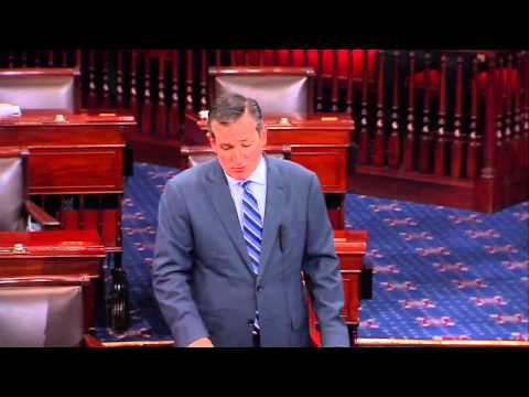 Sen. Ted Cruz: We Need to Secure the Border