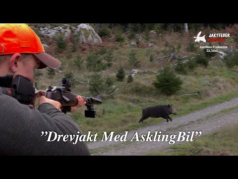 "Drevjakt Med Askling Bil I Östergötland" (Följ med jaktfeber på Drevjakt)