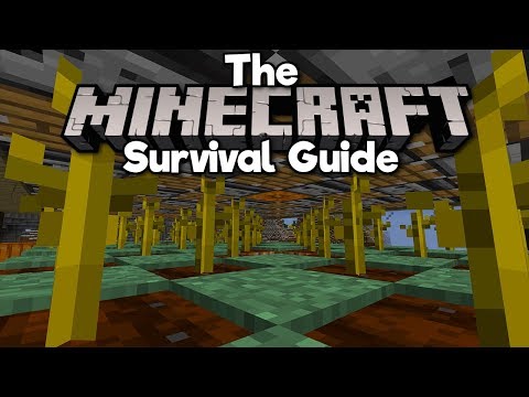1.14 Lossless Pumpkin Farm! ▫ The Minecraft Survival Guide (Tutorial Let's Play)[Part 243]