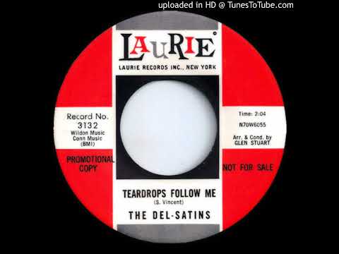 The Del-Satins - Teardrops Follow Me