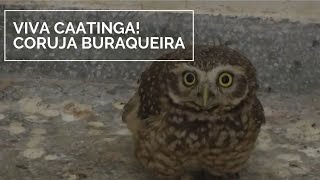 Miniatura do vídeo