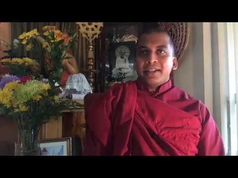 16 steps of Breathing Meditation | Ānāpānasati Sutta (MN 118)