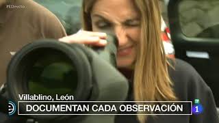 Las patrullas Oso en España Directo