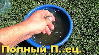 Думал что простая монета. Но оказался рарик.