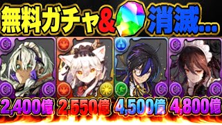 【賛否両論】神運営 or 炎上案件 メイド執事イベントの光と闇がヤバすぎる【パズドラ】