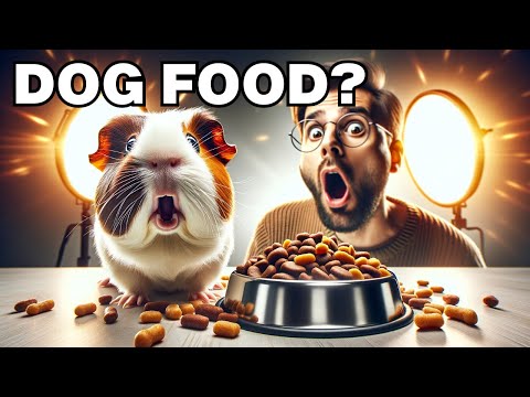 Can guinea pigs eat dog food?