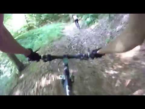 Coborare portiune MTB trail in padurea Trebes Bacau PART I
