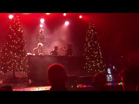 Does A Bear SHiZ in the Woods - GRiZmas 2018 pt. 6