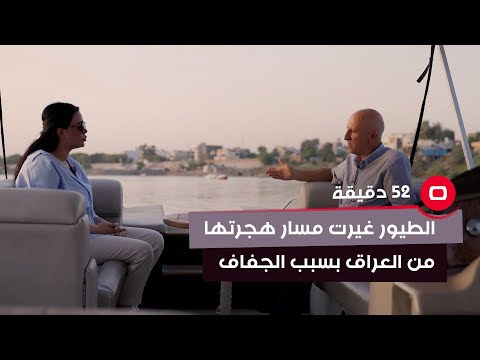شاهد بالفيديو.. الطيور غيرت مسار هجرتها من العراق بسبب الجفاف!